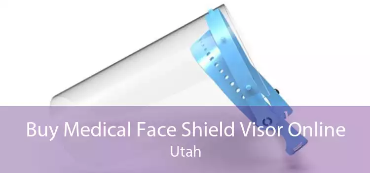 Buy Medical Face Shield Visor Online Utah