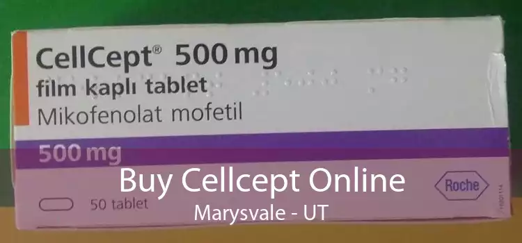 Buy Cellcept Online Marysvale - UT