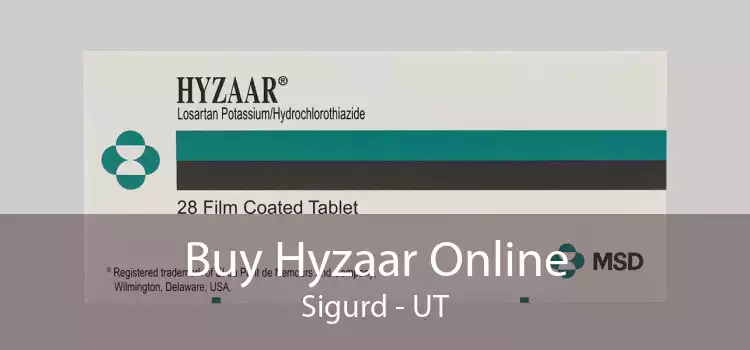Buy Hyzaar Online Sigurd - UT