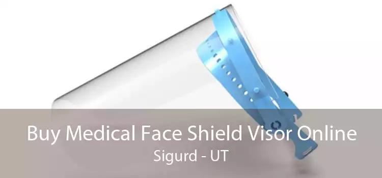 Buy Medical Face Shield Visor Online Sigurd - UT