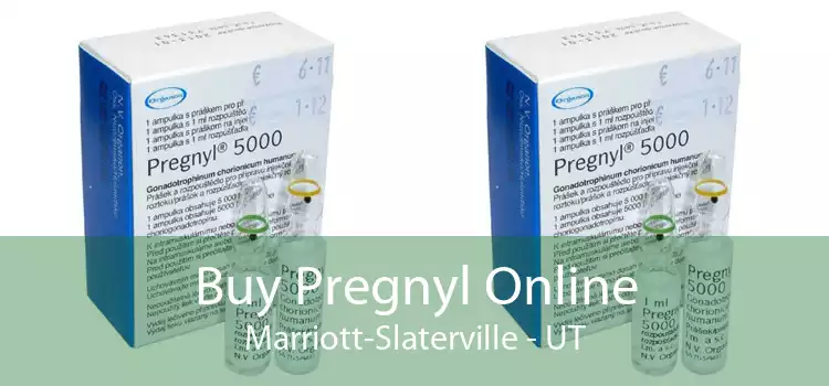 Buy Pregnyl Online Marriott-Slaterville - UT
